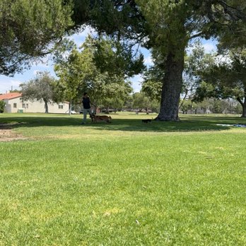 Recreation Park - Wide grass lawn with plenty of room to roam. - Parks Near Me - Long Beach, California
