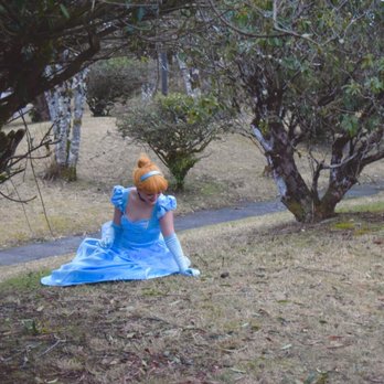 The Wandering Princess - Princess Cinder - Party Characters Near Me