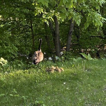 Kildonan Park - Parks Near Me - Winnipeg, Manitoba Kildonan Park - Parks Near Me - Winnipeg, Manitoba