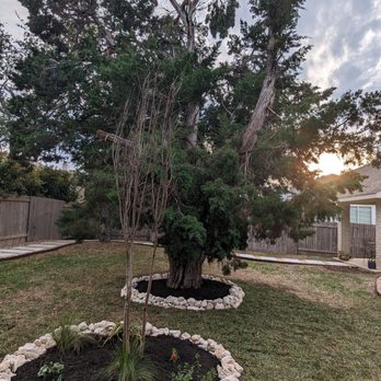 Lonestar Lawn & Landscape - Sod, rock boundaries, mulch and cleaned up lawn - Lawn Services Near Me Lonestar Lawn & Landscape - Sod, rock boundaries, mulch and cleaned up lawn - Lawn Services Near Me