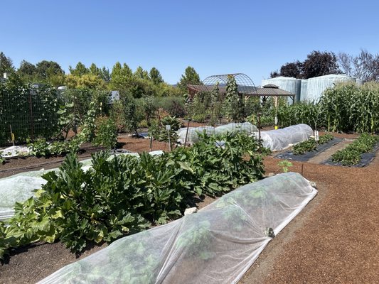 Cakebread Cellars by null