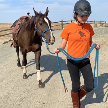 Bradshaw Equestrian & Co. - Horseback Riding Near Me Bradshaw Equestrian & Co. - Horseback Riding Near Me