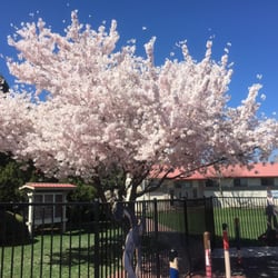 Brookfield School Elementary Campus