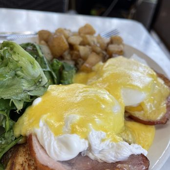 Ollo - Eggs Benedict - New American Near Me - Malibu, California Ollo - Eggs Benedict - New American Near Me - Malibu, California