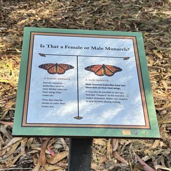 Monarch Grove Sanctuary - Parks Near Me - Pacific Grove, California Monarch Grove Sanctuary - Parks Near Me - Pacific Grove, California