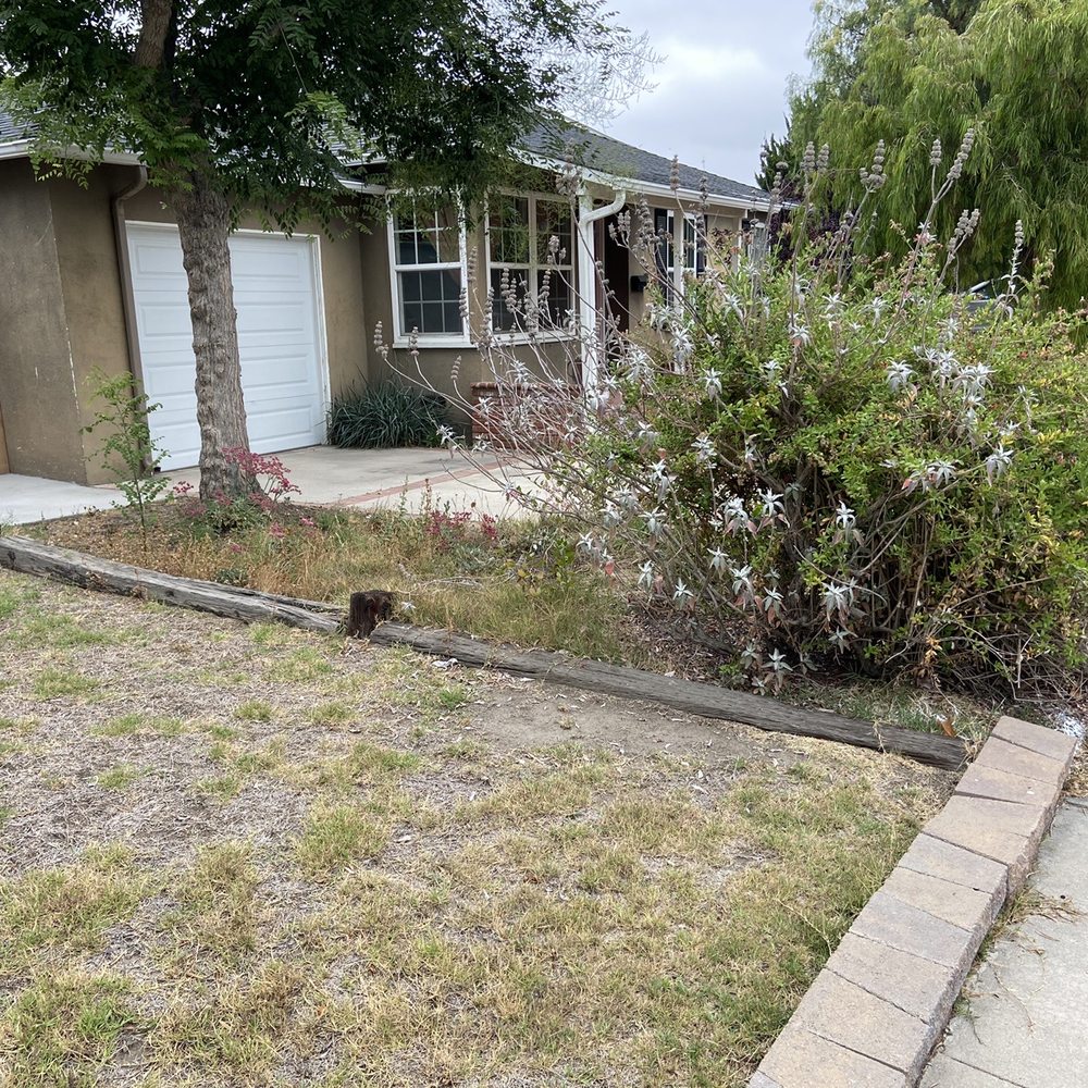 Jesus Lawn Maintenance - Before demo - Lawn Services Near Me - Bellflower, California