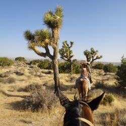 Knob Hill Ranch
