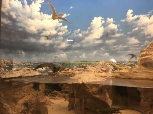 Civic Museum of Natural Sciences in Bergamo by null