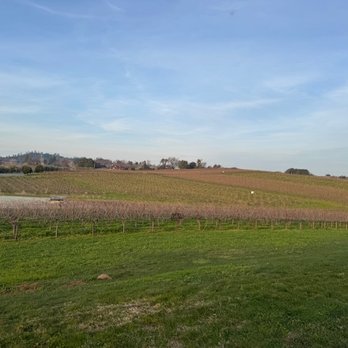 Andis Winery - View - Wineries Near Me - Plymouth, California