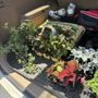 Photo of The Flower Station