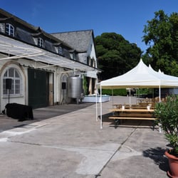 Weingut Louis Guntrum - Weingarten