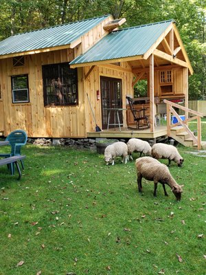 Bethel Pastures Farm Bed & Breakfast by null