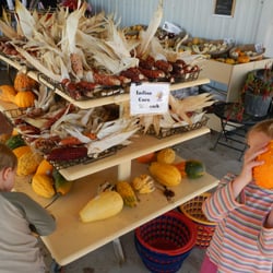 Tigges Farm - Joe & Lily checking out the very reasonably-priced Indian corn and gourds.
