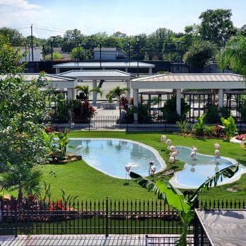 Club Westside - Nice accent .. monkeys, flamingos... - Tennis Near Me - Houston, Texas Club Westside - Nice accent .. monkeys, flamingos... - Tennis Near Me - Houston, Texas