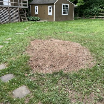 Lopez Tree Services - All that's left. - Tree Services Near Me - Alexandria, Virginia Lopez Tree Services - All that's left. - Tree Services Near Me - Alexandria, Virginia