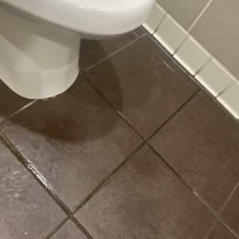 Asian Arch - Pee all over the floor - Chinese Near Me - St. Louis, Missouri Asian Arch - Pee all over the floor - Chinese Near Me - St. Louis, Missouri