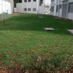 Universidad de Guadalajara - Pasto para relajarse (desgraciadamente no te puedes acostar a relajarte)