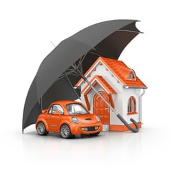 Anakarina Callejas - GreatFlorida Insurance