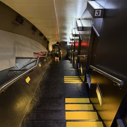 Gateway Arch National Park - Steps to come up and back down from box