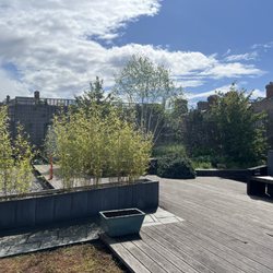 Chester Beatty Roof Garden - In the garden