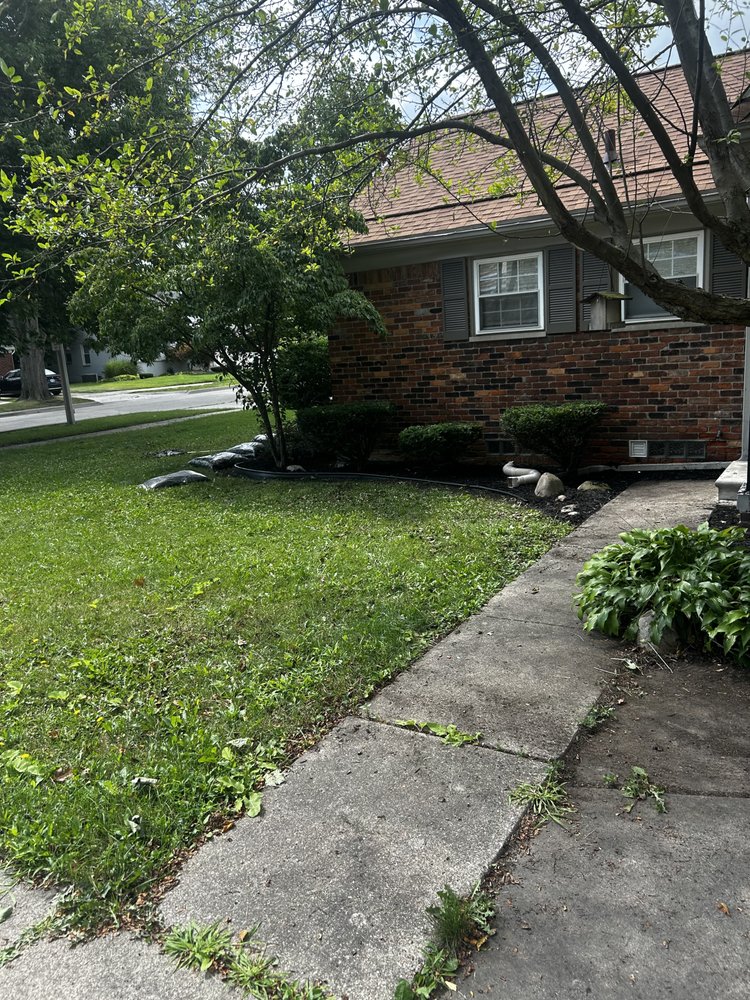 Slide of Shawn's Botany and Lanscaping