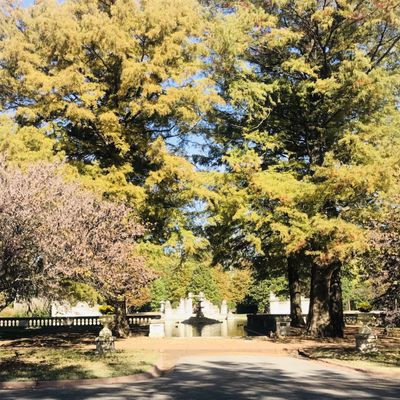 Tower Grove Park by null