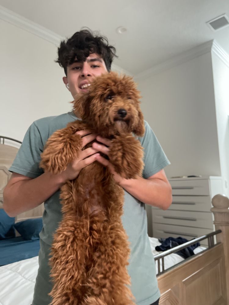 SUNSET LAKES ANIMAL CLINIC Updated August 2024 26 Photos & 23