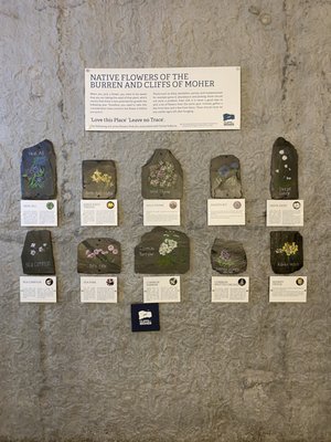 Cliffs of Moher Experience by null