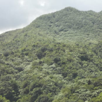Natural Wonders PR - Scene from El Yunque - Tours Near Me - Old San Juan, Puerto Rico
