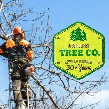 West Coast Tree - Tree Services Near Me - Ventura, California West Coast Tree - Tree Services Near Me - Ventura, California
