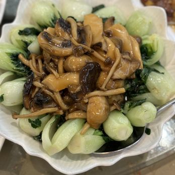 Crown Jewel Fine Dining - bak choy w/ assorted mushrooms - Dim Sum Near Me - Scarborough, Ontario Crown Jewel Fine Dining - bak choy w/ assorted mushrooms - Dim Sum Near Me - Scarborough, Ontario