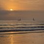 Photo of Venice Statepark