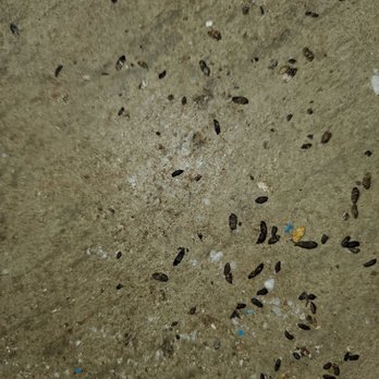 Public Storage - Mouse/rat feces& urine - Self Storage Near Me - Upper Darby, Pennsylvania
