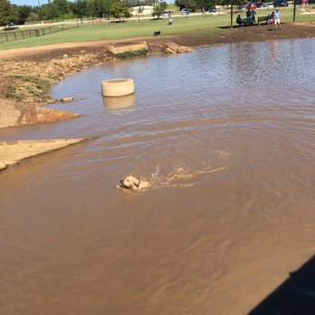 Cedar Bark Park - He found his way in water to get his fav ball:) - Dog Parks Near Me - Cedar Park, Texas Cedar Bark Park - He found his way in water to get his fav ball:) - Dog Parks Near Me - Cedar Park, Texas