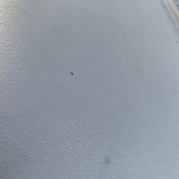 Bay Area Glass Works - Auto Glass Services Near Me - Pinellas Park, Florida Bay Area Glass Works - Auto Glass Services Near Me - Pinellas Park, Florida