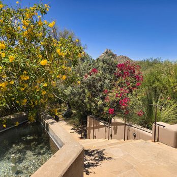 Desert Orchard - Coffee & Tea Near Me - Scottsdale, Arizona
