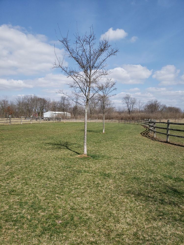 CLOW STEPHENS COMMUNITY PARK 16608 S Lily Cache Rd, Plainfield, IL Yelp