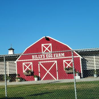 BILLY’S EGG FARM - Updated May 2024 - 471 Photos & 642 Reviews - 13094