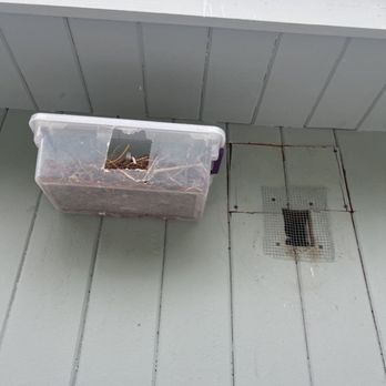 MMPC - Pest Control Near Me - Long Island City, New York MMPC - Pest Control Near Me - Long Island City, New York