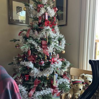 Balsam Hill Outlet - One good looking tree; so far, so good... - Christmas Trees Near Me - Burlingame, California Balsam Hill Outlet - One good looking tree; so far, so good... - Christmas Trees Near Me - Burlingame, California