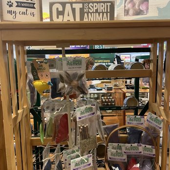 Reigning Cats & Dogs - Pet Stores Near Me - Culpeper, Virginia