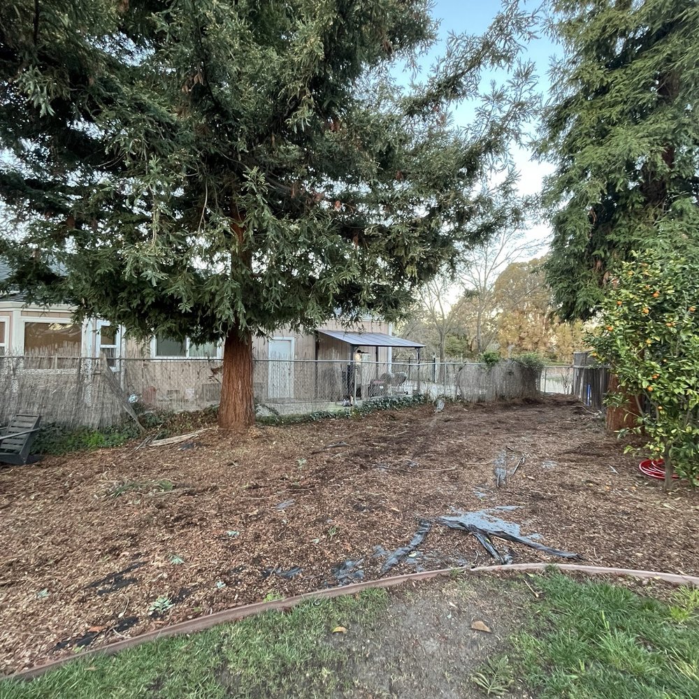 Chairez Fencing - Before - Fences & Gates Near Me Chairez Fencing - Before - Fences & Gates Near Me