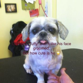 Dapper Dog - Pet Groomers Near Me - Yuma, Arizona Dapper Dog - Pet Groomers Near Me - Yuma, Arizona