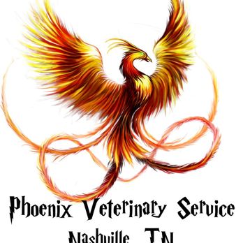 Phoenix Veterinary Service - Phoenix Veterinary Service Logo - Veterinarians Near Me - Nashville, Tennessee Phoenix Veterinary Service - Phoenix Veterinary Service Logo - Veterinarians Near Me - Nashville, Tennessee