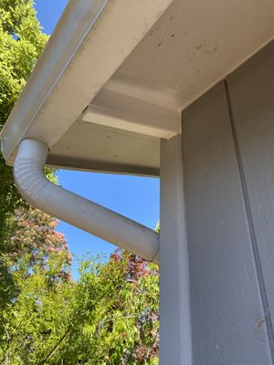 THRASHER TERMITE & PEST CONTROL - Updated January 2025 - 27 Photos