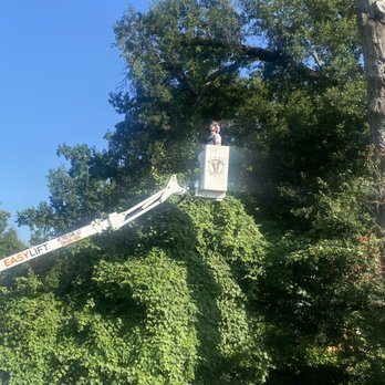 Foxx Tree Service - Landscaping Near Me - Monroe, Louisiana Foxx Tree Service - Landscaping Near Me - Monroe, Louisiana