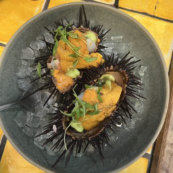 Holbox - Live sea urchin ceviche - Latin American Near Me - Los Angeles, California Holbox - Live sea urchin ceviche - Latin American Near Me - Los Angeles, California