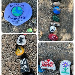 Woodland Lake Park - Some of the rocks on the painted rock trail...