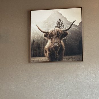 Cup of Cozy - Heeland Coo - Coffee & Tea Near Me - Albuquerque, New Mexico