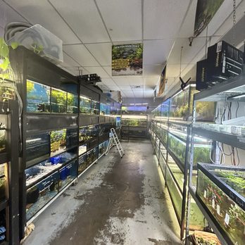 Sierra Fish & Pets - Aquatic section - Local Fish Stores Near Me - Renton, Washington Sierra Fish & Pets - Aquatic section - Local Fish Stores Near Me - Renton, Washington
